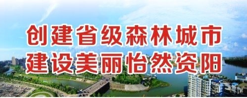 黄片不用下载少萝创建省级森林城市 建设美丽怡然资阳