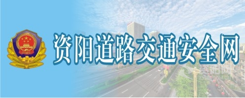 www.日逼逼资阳道路交通安全网