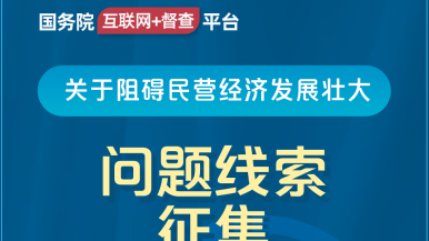 小骚逼要大鸡巴国务院“互联网+督查”平台公开征集阻碍民营经济发展壮大问题线索